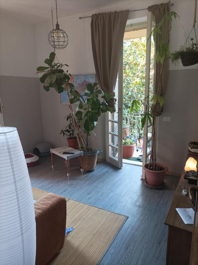 Апартаменты Boh & Boh A Casa Di Luca And His Cats Перуджа Экстерьер фото